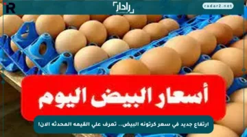 ارتفاع جديد في سعر كرتونة البيض.. تعرف على القيمة المحدثة الآن!